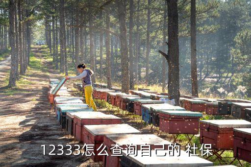 社保12333,下載云南社保12333