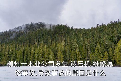 液壓機(jī)維修,佛山液壓機(jī)維修