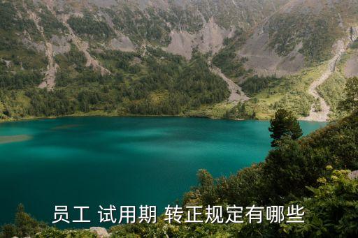 試用期轉(zhuǎn)正