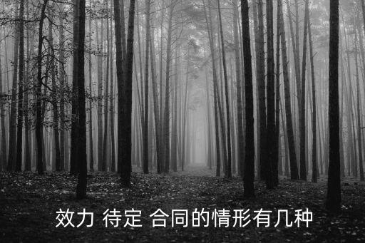 論述效力待定合同的種類,論述我國(guó)效力待定合同制度