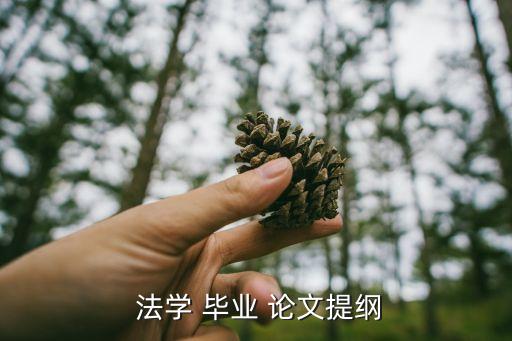 2022年法學(xué)本科畢業(yè)論文題目,法學(xué)本科畢業(yè)論文及畢業(yè)設(shè)計(jì)題目