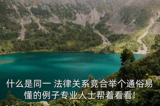 如何理解同一法律關(guān)系,對法律關(guān)系的理解