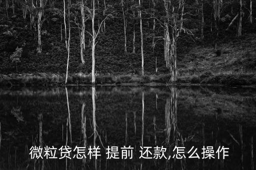微粒貸提前還款