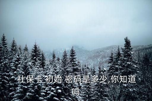 社保卡的初始密碼是多少,一般電子社?？ǖ某跏济艽a是多少