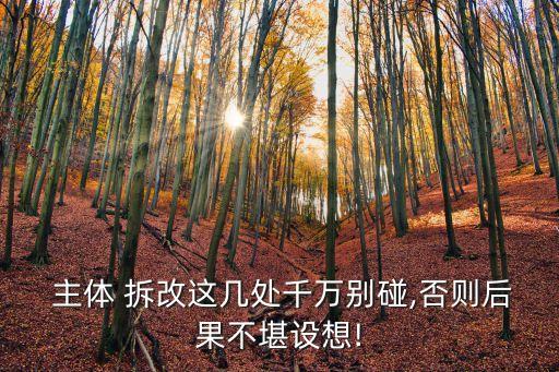 主體拆改