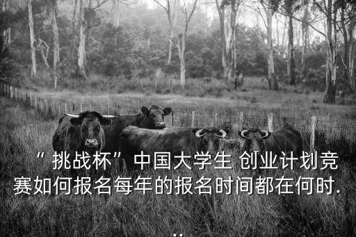 挑戰(zhàn)杯創(chuàng)業(yè)大賽,大學(xué)生挑戰(zhàn)杯創(chuàng)業(yè)大賽