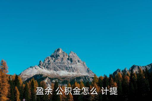  盈余 公積金怎么 計提