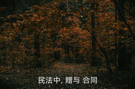 什么是贈(zèng)與合同的法律