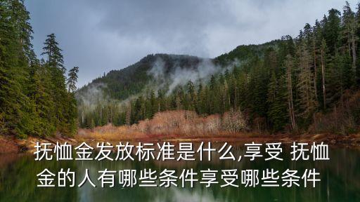 什么是撫恤金