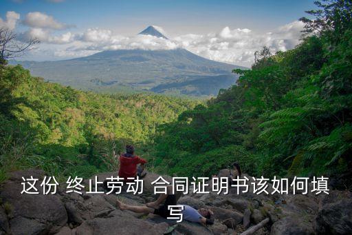 終止合同法律依據(jù)怎么填,單方終止合同賠償標(biāo)準(zhǔn)的法律依據(jù)