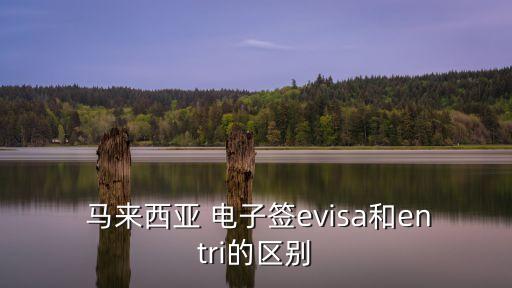 馬來西亞電子簽