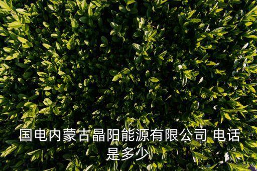 國電客服電話,95598人工客服