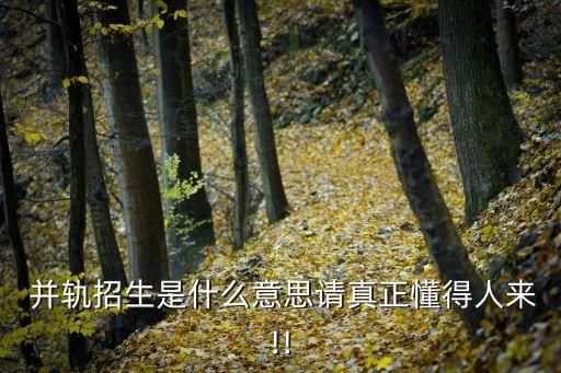 并軌是什么意思,退休雙軌制2024年并軌