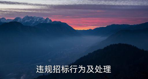 違反招投標(biāo)法的紀(jì)律處分,招標(biāo)人違反招投標(biāo)法怎么處理
