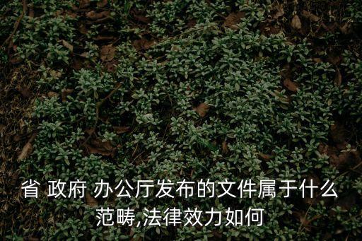 山東省政府辦公廳,仲偉旭 山東省政府辦公廳