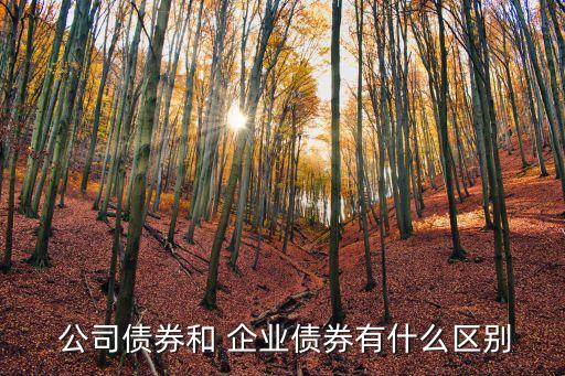 公司債企業(yè)債