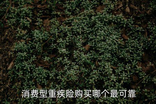 消費(fèi)型保險(xiǎn)哪家好,什么保險(xiǎn)買了立即生效