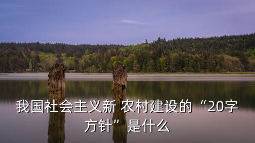中國新農(nóng)村建設(shè)