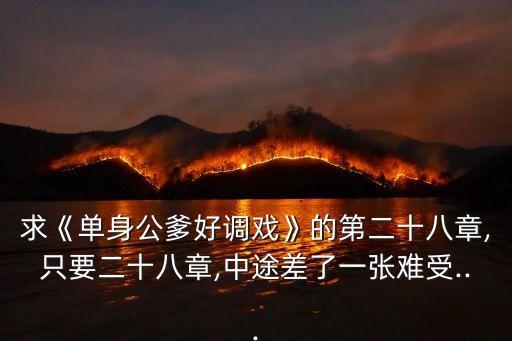 求《單身公爹好調(diào)戲》的第二十八章,只要二十八章,中途差了一張難受...