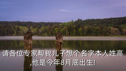 高菁
