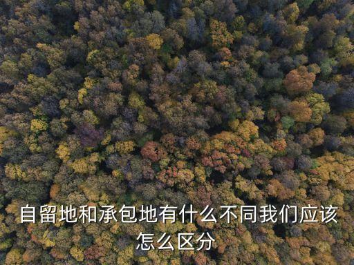 自留地