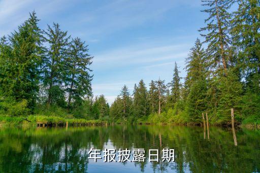  年報(bào)披露日期