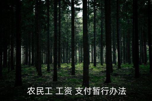保障農(nóng)民工工資支付條例