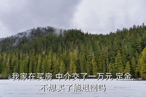 房產(chǎn)中介定金可以退嗎,在房產(chǎn)中介交了定金還能要回來(lái)嗎