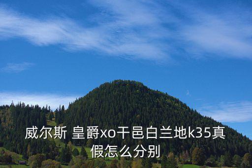 皇爵