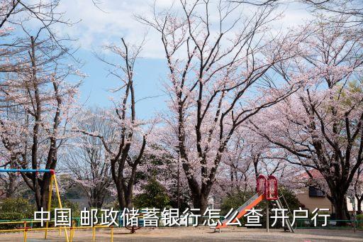 郵政開戶行怎么查詢,下載郵政銀行app下載安裝