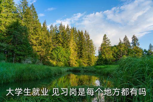 見習(xí)崗