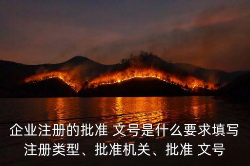 文號是什么,保健品的批準文號是什么