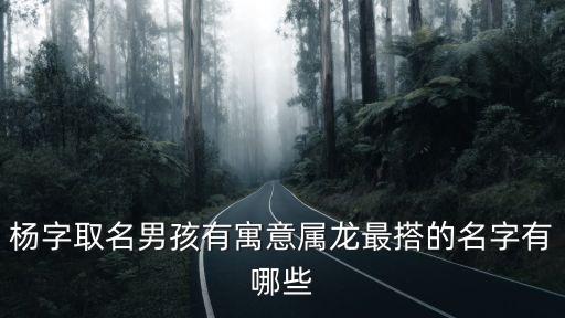 楊字取名男孩有寓意屬龍最搭的名字有哪些