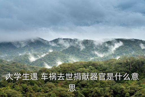 浙江車禍
