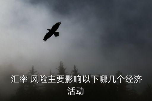匯率風(fēng)險