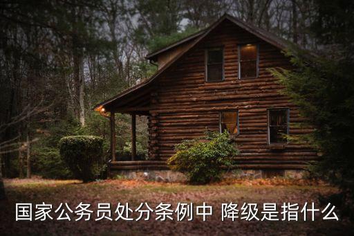 降級是什么意思,紀律處分降級是什么意思