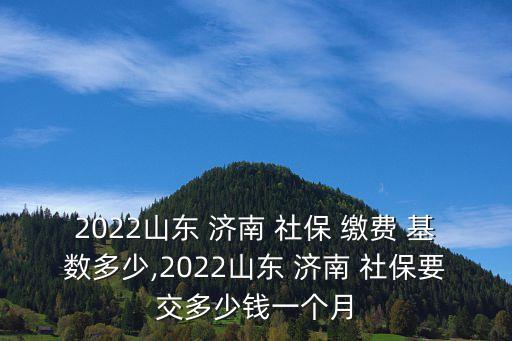 2022山東 濟(jì)南 社保 繳費(fèi) 基數(shù)多少,2022山東 濟(jì)南 社保要交多少錢(qián)一個(gè)月