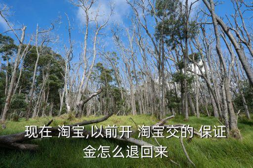 淘寶保證金能退嗎,淘寶網(wǎng)店需要多少資金
