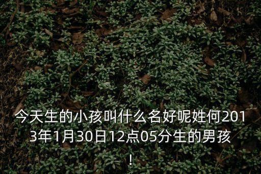 何子豪
