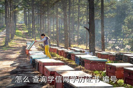 畢業(yè)證編號查詢網(wǎng),大學(xué)畢業(yè)證查詢網(wǎng)