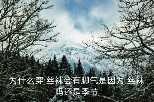 玩絲襪腳