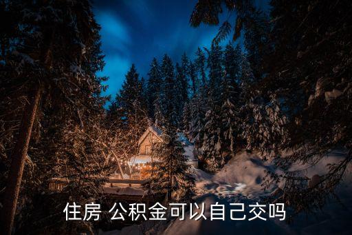 公積金自己可以交嗎,個(gè)人想交公積金怎么辦