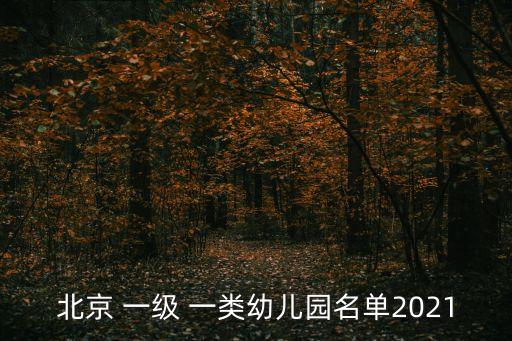 一級(jí)一類