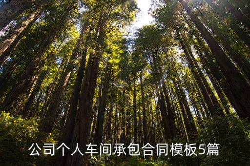 公司個人車間承包合同模板5篇