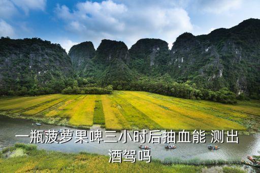 果啤能測出酒駕嗎,一瓶菠蘿啤多久能開車