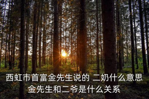 二奶是什么意思,一陽吞三陰什么意思