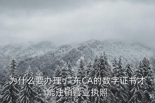 廣東ca,廣東菜的做法大全家常菜