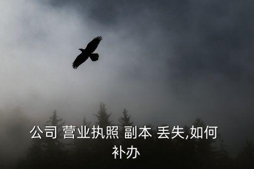營業(yè)執(zhí)照副本丟失怎么補辦,個體戶營業(yè)執(zhí)照副本丟失后果