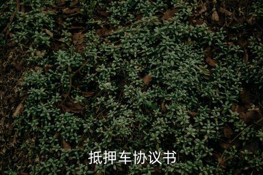車輛抵押擔(dān)保合同范本,抵押擔(dān)保合同范本?