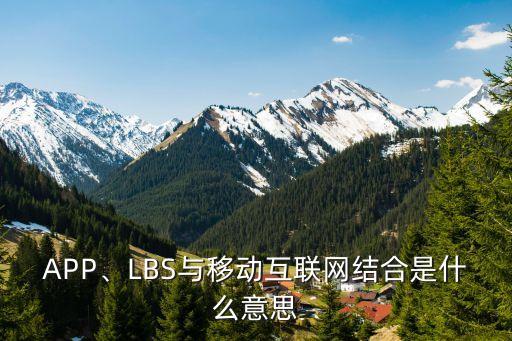 APP、LBS與移動(dòng)互聯(lián)網(wǎng)結(jié)合是什么意思